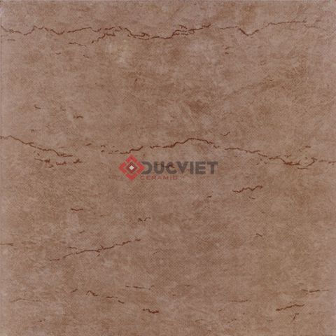 Gạch Viglacera 30x30 N3602