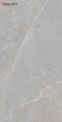 Gạch Eurotile NGC I03 45x90