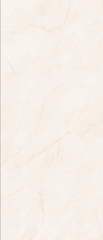Gạch Eurotile NGG-V05P 120x280