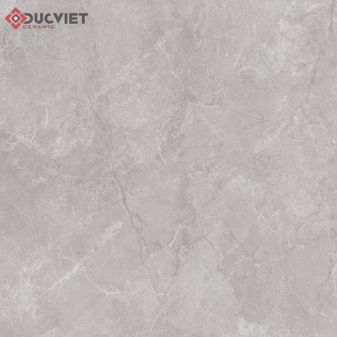 Gạch Eurotile NHC S03H 120x120