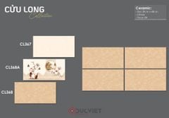 Gạch Viglacera 30x60 CL367