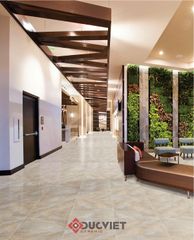 Gạch Viglacera 60x60 ECO 605