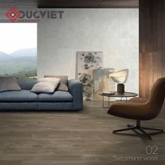 Gạch Eurotile THD G03 30x60