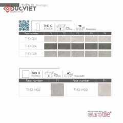 Gạch Eurotile THD H02 60x60
