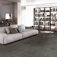 Gạch Eurotile THD H02 60x60