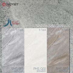 Gạch PHS Q01 Eurotile 60x120