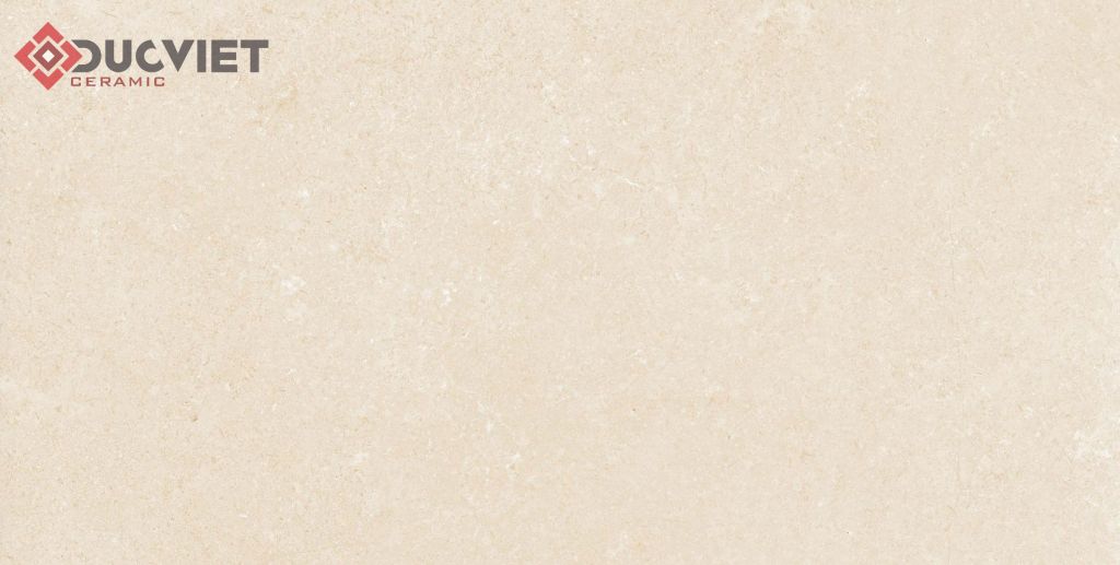 Gạch Eurotile 20mm PT20-G3601 30x60