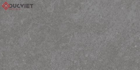 Gạch Eurotile 20mm PT20-G3603 30x60