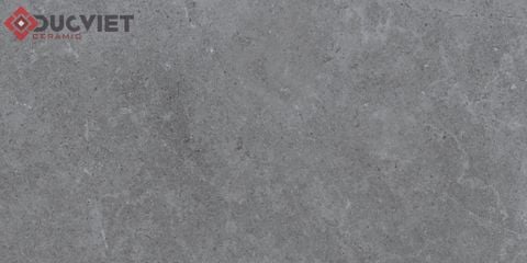 Gạch Eurotile 20mm PT20-G3605 30x60