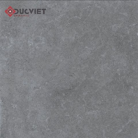 Gạch Eurotile 20mm PT20-G6605 60x60