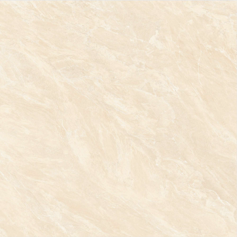 Gạch Viglacera 120x120 CL2-P121204