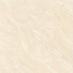 Gạch Viglacera 120x120 CL2-P121204