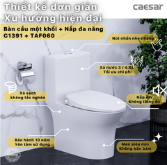 BÀN CẦU THÔNG MINH C1391F + TAF060