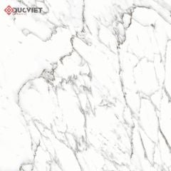 Gạch Eurotile SIG-P8802 80x80