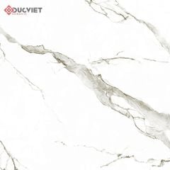 Gạch Eurotile SIG-P8806 80x80