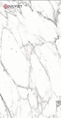 Gạch Eurotile SIG-P61202 60x120