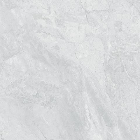 Gạch Grand Ceramics 60x60 SMP 66019