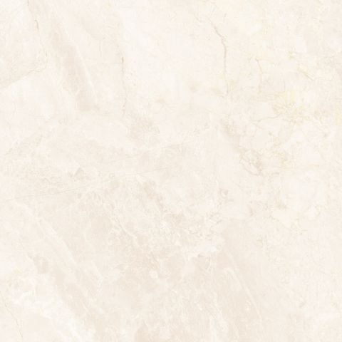 Gạch Grand Ceramics 60x60 SMP 66020