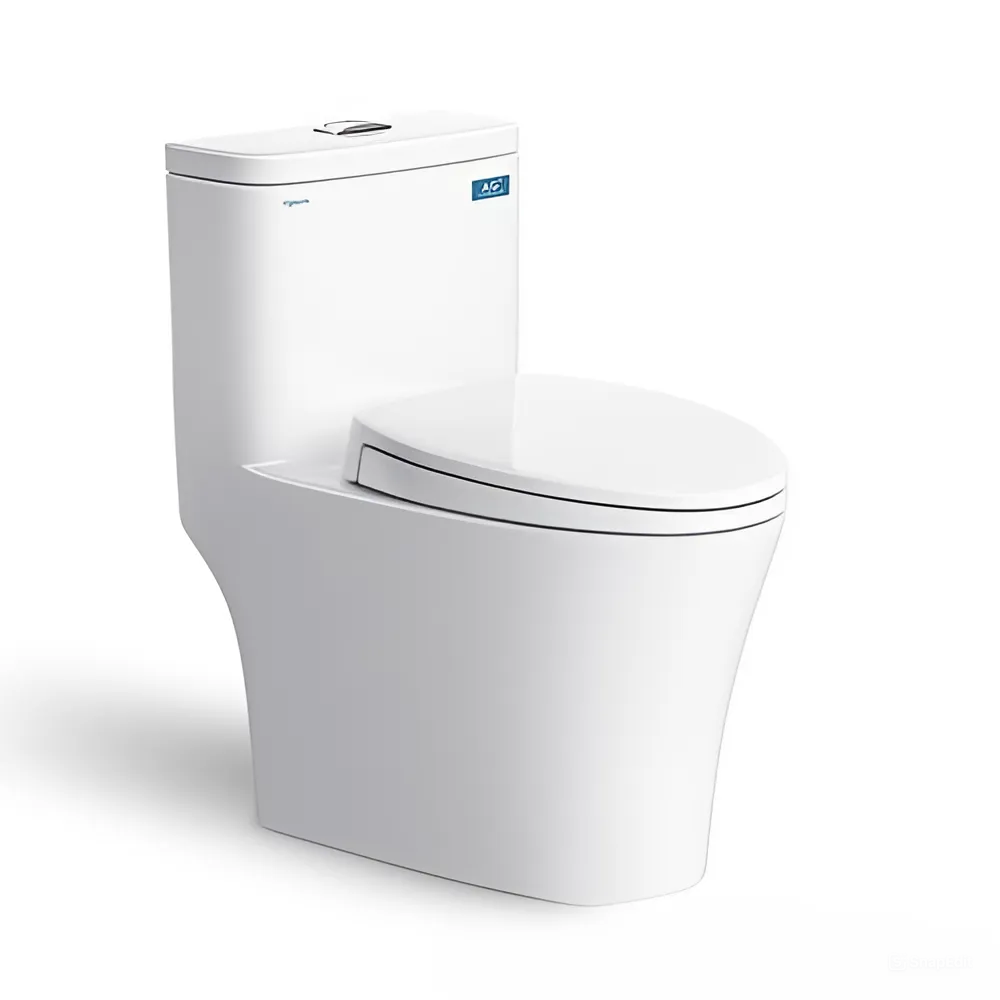 BÀN CẦU MỘT KHỐI V63