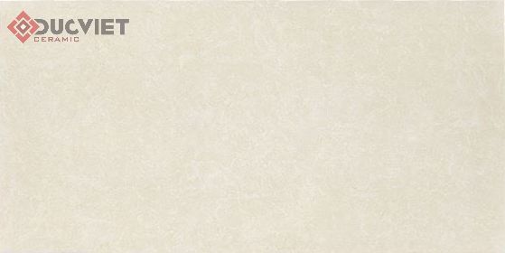 Gạch Viglacera 30x60 T363