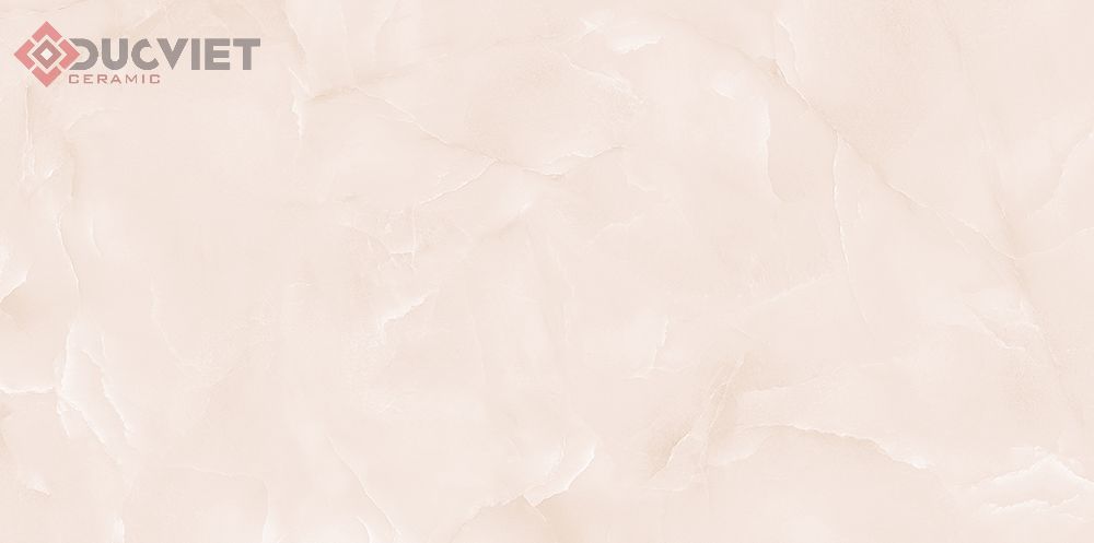 Gạch Viglacera 30x60 T364