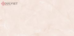 Gạch Viglacera 30x60 T364