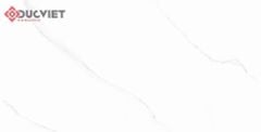 Gạch Viglacera 30x60 T367