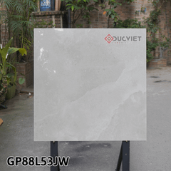 Gạch Taicera G88L53JW 80x80