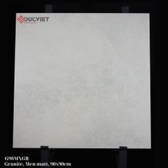 Gạch Taicera 90x90 G98MXGR