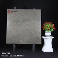 Gạch Taicera 90x90 G98MXGA