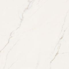 Gạch Taicera G88L52JW 80x80