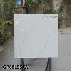 Gạch Taicera G88L55JW 80x80