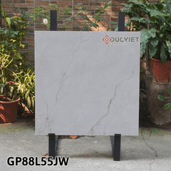 Gạch Taicera G88L55JW 80x80
