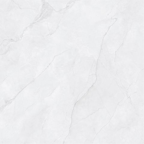 Gạch Taicera G88L55JW 80x80