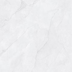 Gạch Taicera G88L55JW 80x80