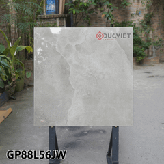 Gạch Taicera G88L56JW 80x80