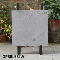 Gạch Taicera G88L58JW 80x80