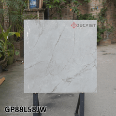 Gạch Taicera G88L58JW 80x80