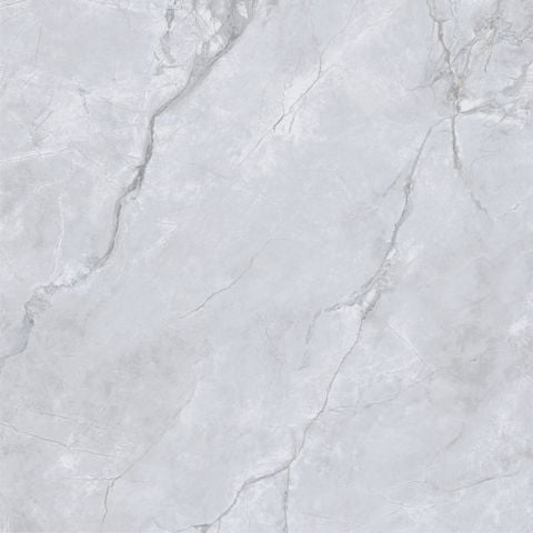 Gạch Taicera G88L58JW 80x80