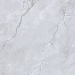Gạch Taicera G88L58JW 80x80