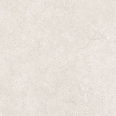 Gạch Taicera G88P13JW 80x80
