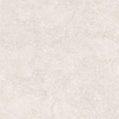 Gạch Taicera G88P13JW 80x80