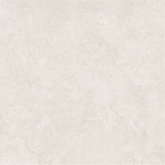Gạch Taicera G88P13JW 80x80