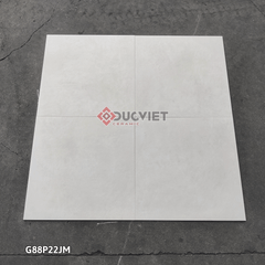 Gạch Taicera G88P22JM 80x80