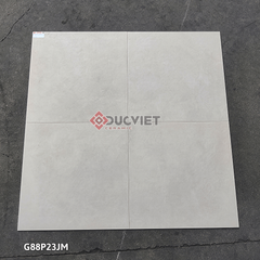 Gạch Taicera G88P23JM 80x80