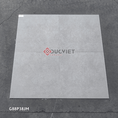 Gạch Taicera G88P38JM 80x80