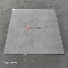 Gạch Taicera G88P39JM 80x80