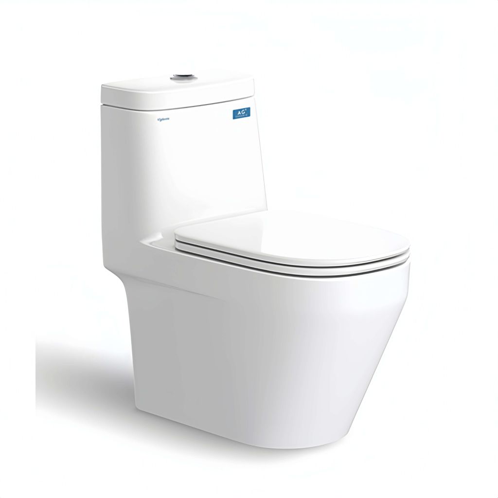 BÀN CẦU MỘT KHỐI V68