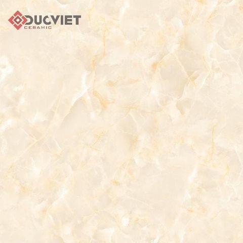 Gạch Viglacera 60x60 TB601