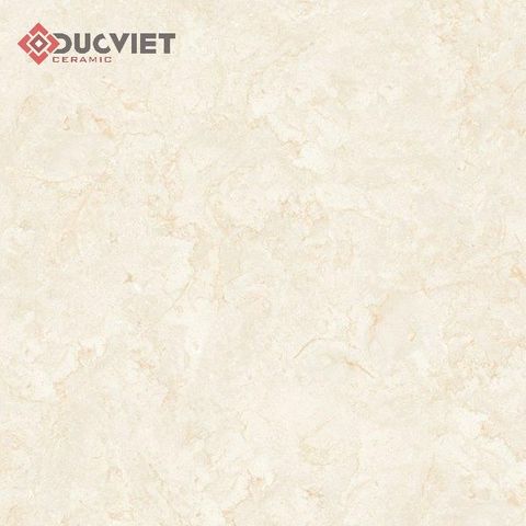 Gạch Viglacera 80x80 TB803